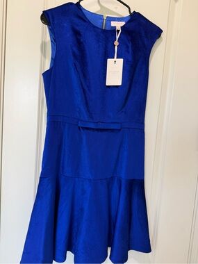 Ted Baker Maryann Blue Velvet Dress